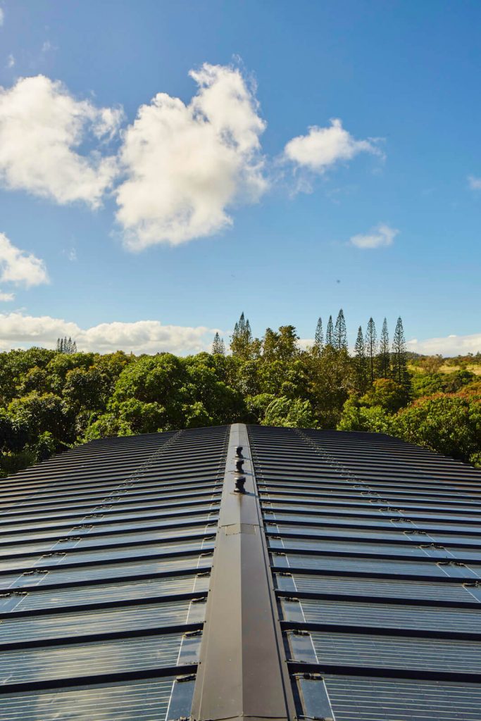 LIFE EDITED_MAUI_JAN2018_IMG_0115_1