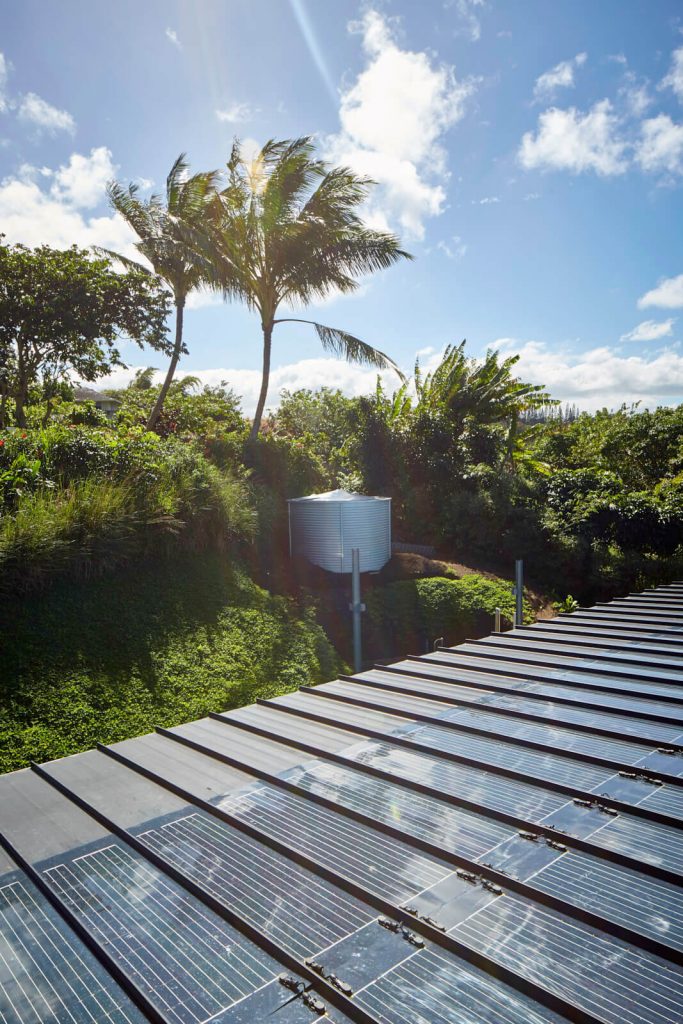 LIFE EDITED_MAUI_JAN2018_IMG_0126_1