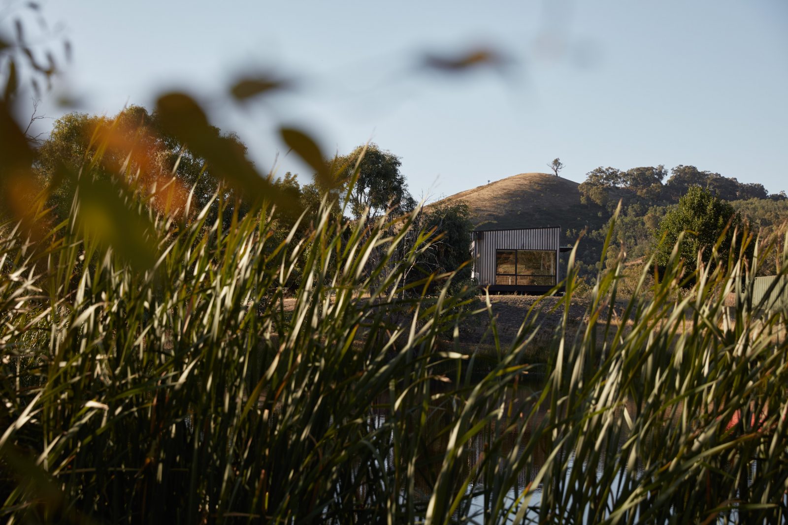 Gallery-of-Bonnie-Doon-Home-by-Archiblox-Australian-Design-and-Architecture-Bonnie-Doon-VIC-Image-3