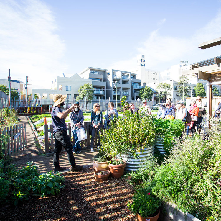 PCF_24_425.06.17-1224sq