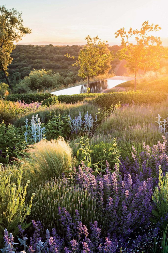 claire takacs garden photography