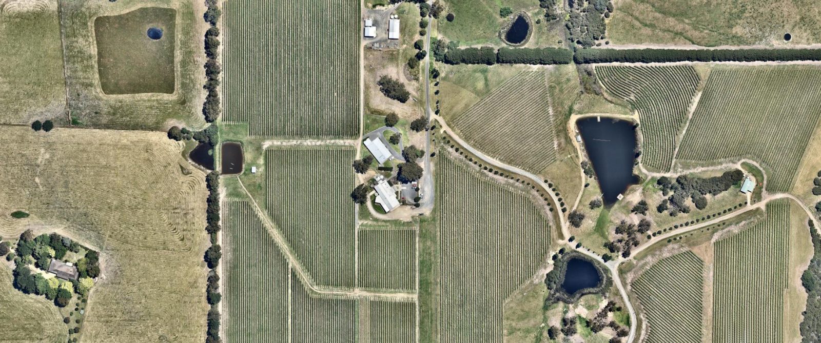 winery aerial site image