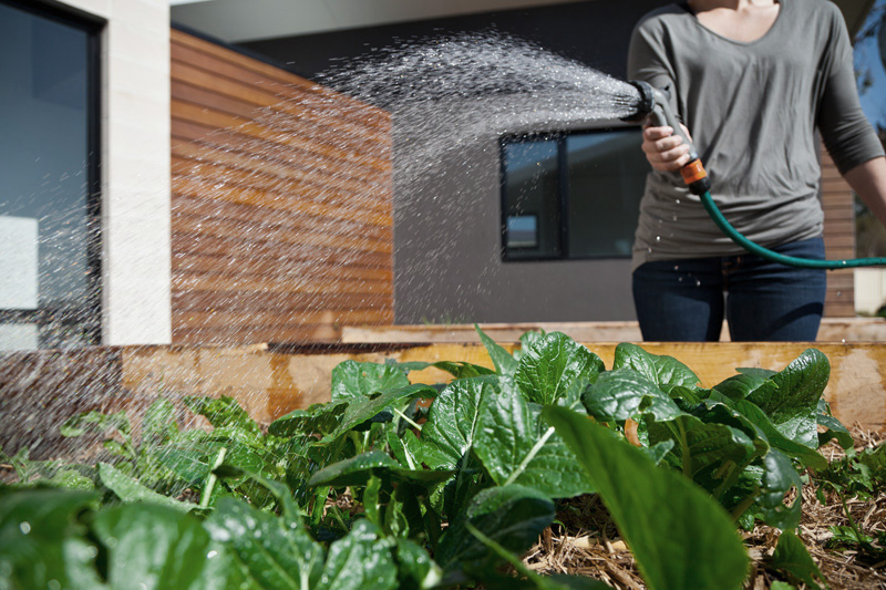 archiblox watering garden