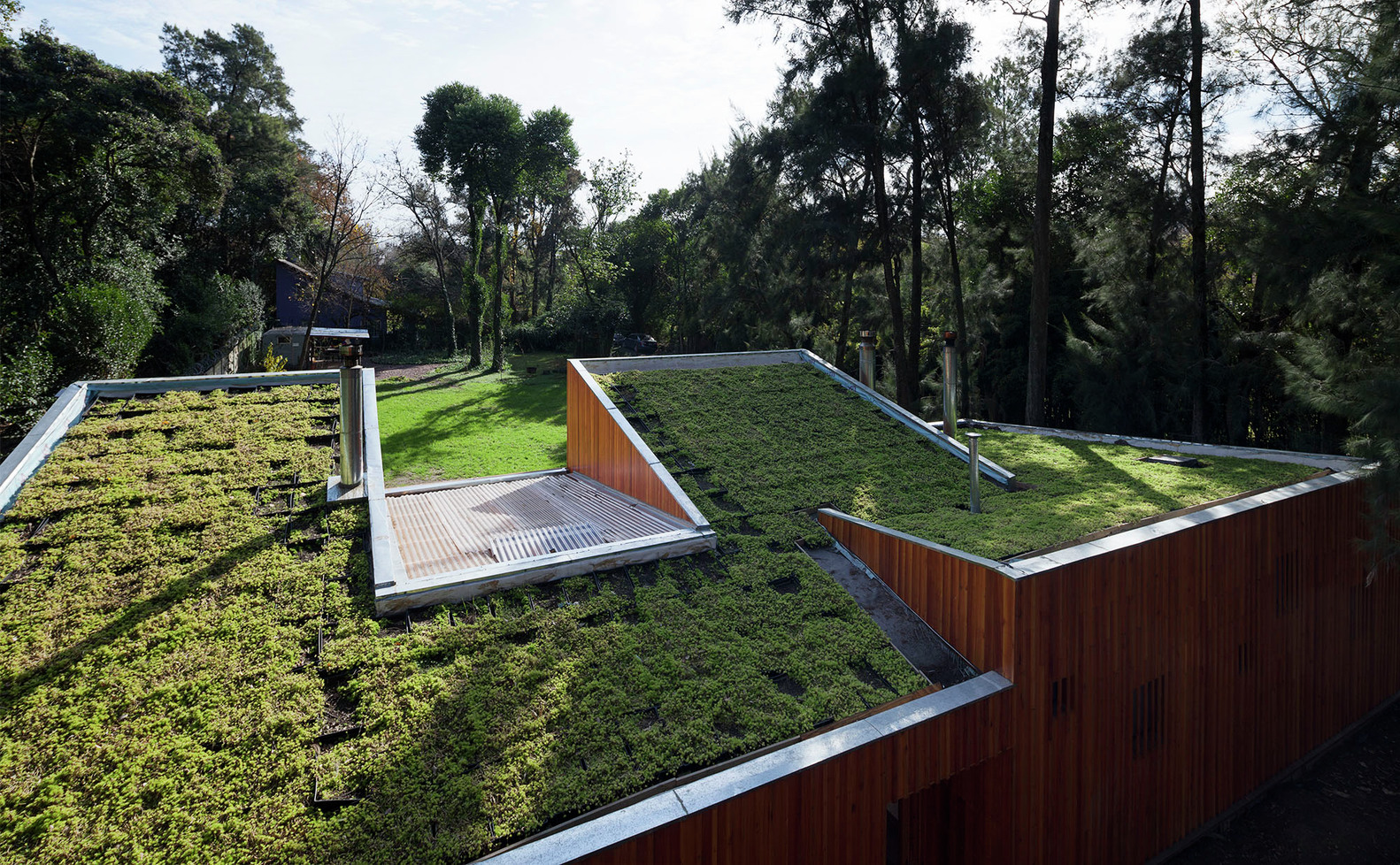AA House Green Roof