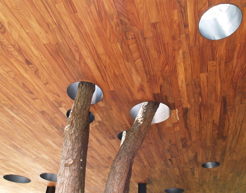 Casa en el bosque tree in roof