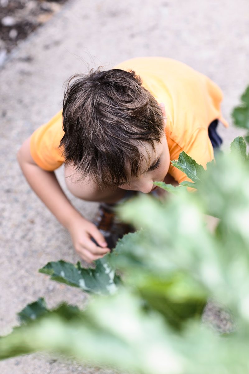 archiblox flinders house young boy in garden